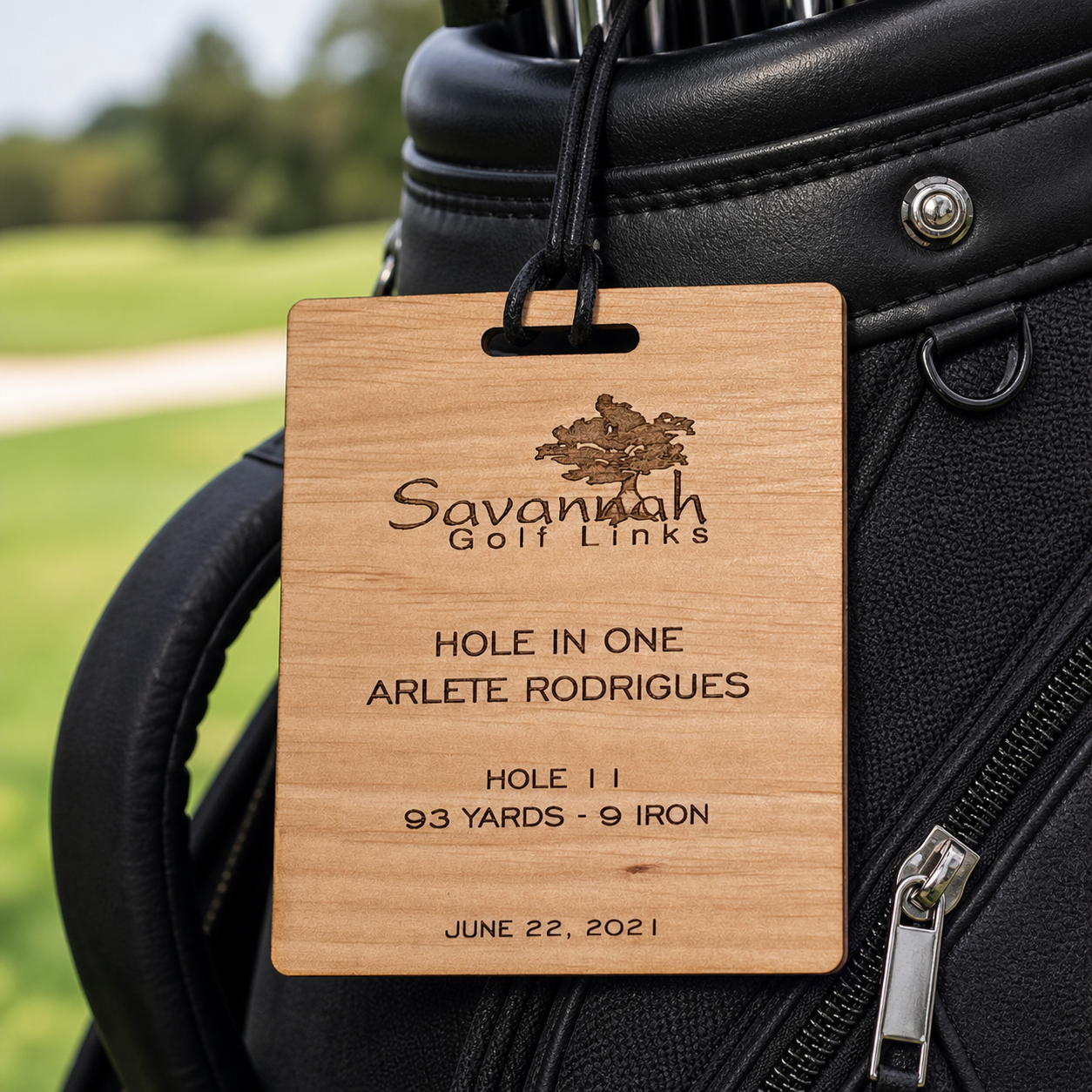 Hole in One Bag Tag